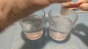 СЕМЕНА ПРОРАСТУТ ЗА ДВА ДНЯ! Супер-способ для проращивания семян.