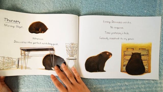 Diary of a Wombat Read Aloud by Mrs Ko смотреть онлайн