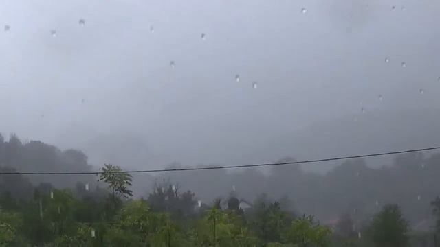 2016_08_31_ПОСЛЕДНИЙ ЛЕТНИЙ ДОЖДЬ_СОЧИ_ПЛАСТУНКА.mp4 смотреть онлайн