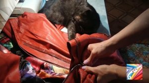 Как перешить молнию на куртке