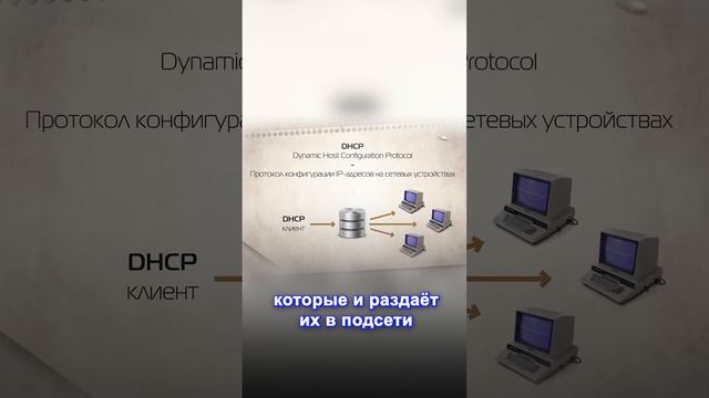 DHCP и DNS: Ключевые инструменты сетевой связи #DHCP #DNS #сети