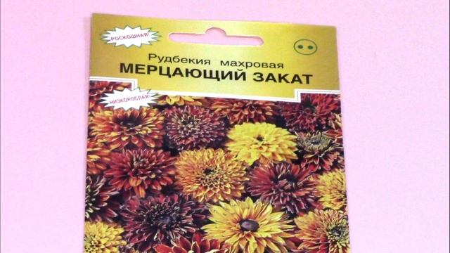 СЕМЕНА КРАСИВЫХ ЦВЕТОВ ОДНОЛЕТНИКОВ 2022