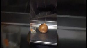 Тахограф. Правильный Режим труда и отдыха. Суточный отстой. РТО