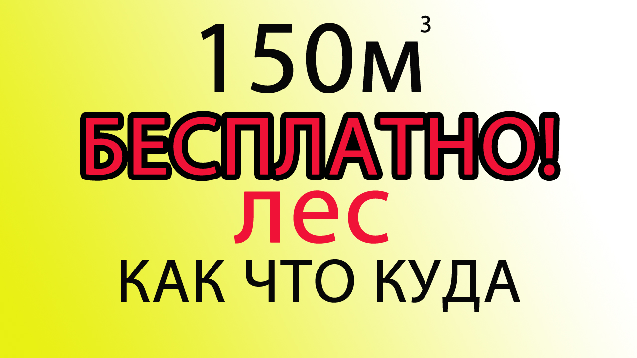 ЛЕС БЕСПЛАТНО КАЖДОМУ смотреть онлайн