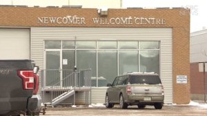 Regina, Saskatoon school divisions see immigration-fueled enrolment spike