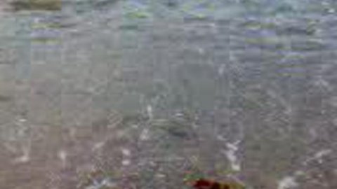 Амурский залив