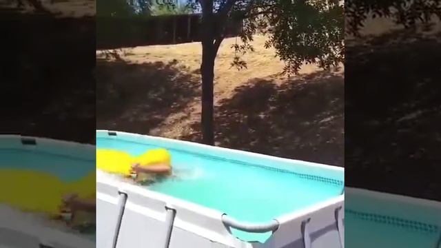 Смешные моменты с бабушками и дедушками) смотреть онлайн