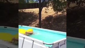 Смешные моменты с бабушками и дедушками)