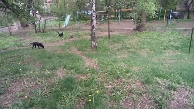 Театр лермонтова, прогулка по Абая(2) смотреть онлайн