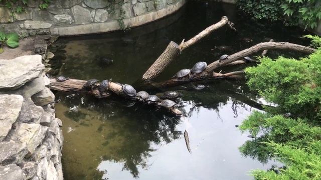 САМЫЕ РЕДКИЕ ПАТТЕРНЫ НА ГЛОК ДАЛЬНИЙ СВЕТ. РЕДКИЕ СКИНЫ В КСГО. СЕКРЕТЫ СКИНОВ В CSGO