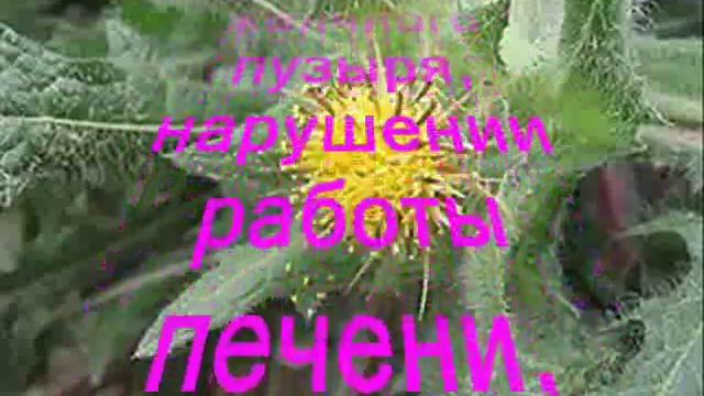 Святой чай - Доктора Миллера.wmv смотреть онлайн