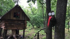База отдыха Глухомань