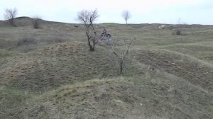 квадроцикл из муравья