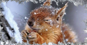 ?Доброго Дня Отличного Настроения! Открытки Добрый День!