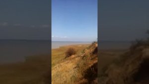 Маргаритово