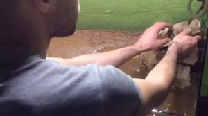 Палюдариум/вивариум с водопадом часть 1