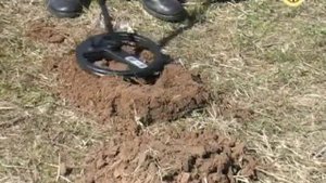 Whites M6 video review, видеообзор