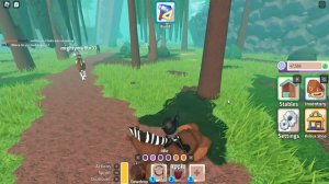 HOW TO CATCH EQUUS AND WINGED HORSE (Horse Life Roblox)