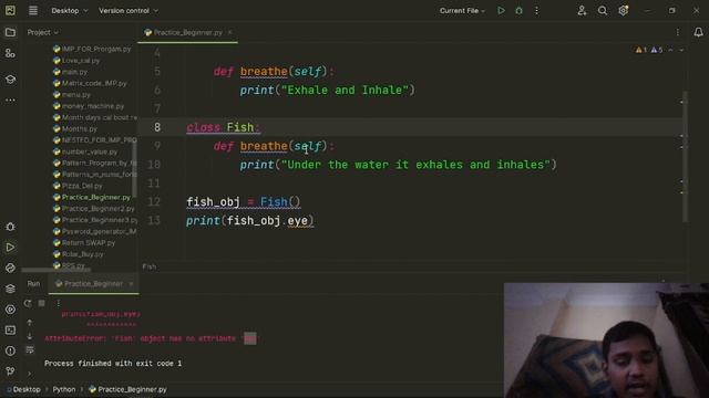 About Class Inheritance in Python Programming language