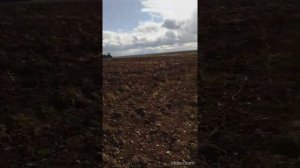 коп и поиск металла в Нижегородской области.