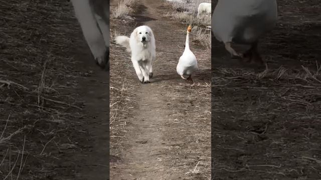 Только вошли в колею, а уже крайний рабочий день!Спешим завершить начатое и строим планы на выходные