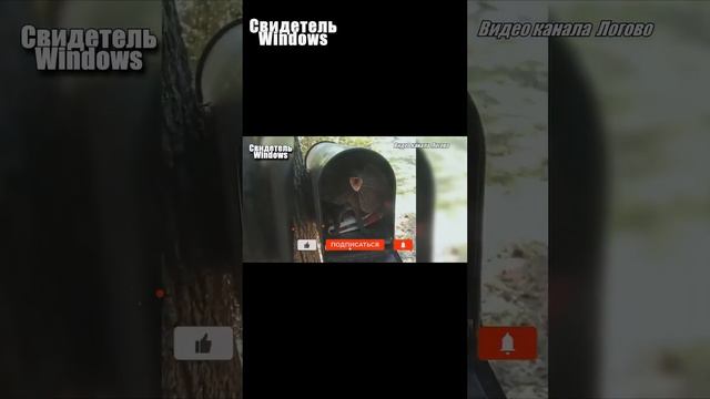 Эти таинственные создания обитают только в Австралии смотреть онлайн