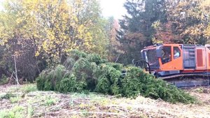 Самоходный мульчер UM-Forest 430 л.с.