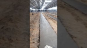 Затирка бетонных дорожек