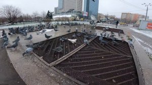 Graffiti review with Wekman Montana Black yellow marker