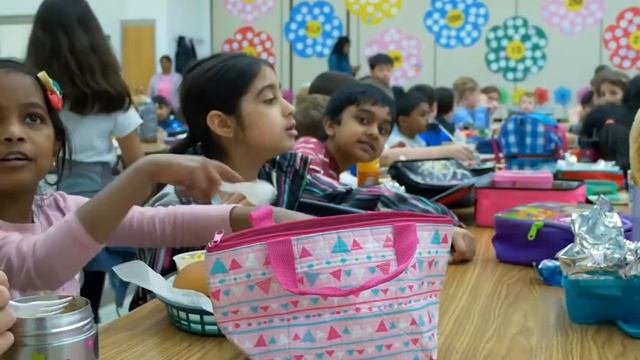 Отличие АМЕРИКАНСКОЙ школы от РУССКОЙ. ШКОЛЫ в Америке | Russian School Vs American School