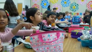 Отличие АМЕРИКАНСКОЙ школы от РУССКОЙ. ШКОЛЫ в Америке | Russian school vs American school