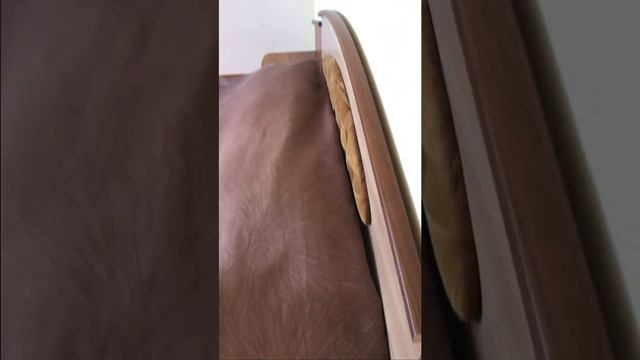 39 номер, Виноград, 1 очередь смотреть онлайн