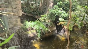 #85 Отпуск. Монреаль (Центр, Старый город, Подземный город Biodome, Ботанический сад, Панорама)