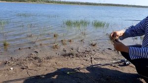 Рыбалка на ставке в селе Малая Белозерка