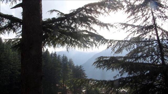 Напутствие 107. Божественное Всё. Карты Шивы - Школа Высочайшей Мудрости смотреть онлайн