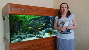 UV-стерилизатор в аквариуме: как этим пользоваться. На примере EHEIM reeflex UV500