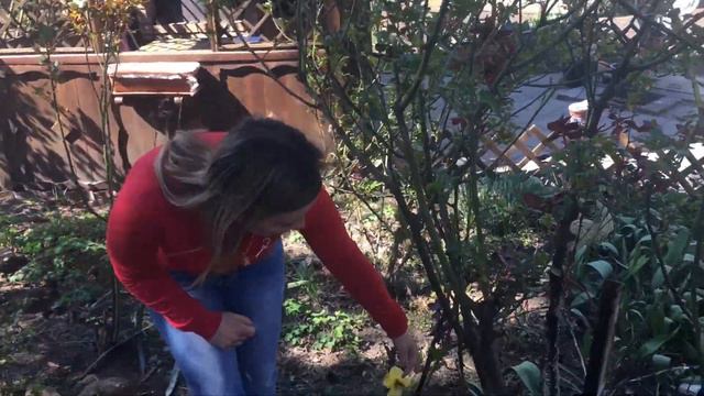 Заняття для дітей на тему: "Весна в гості завітала, радість всім подарувала". (Дитячий садок). смотреть онлайн