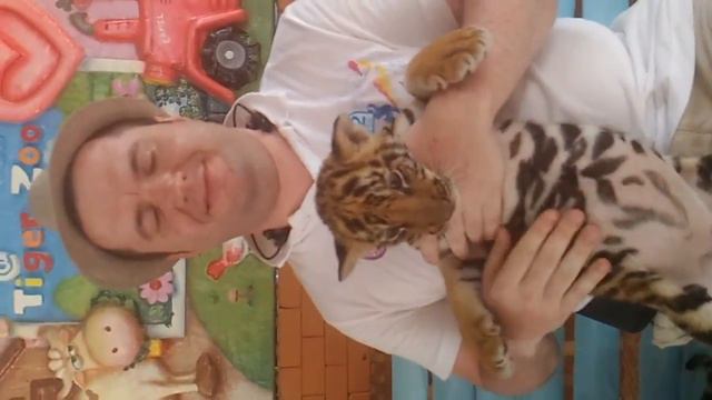 Тигрята TigerZoo Pattaya смотреть онлайн