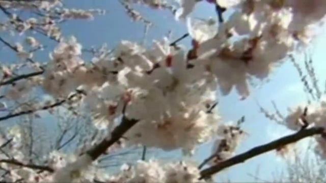 Og'ilxonada go'ng ichiga Farzandini tiriklay ko'mgan iflos
