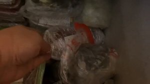 ЗАМОРОЗКА. КОНСЕРВАЦИЯ. ХРАНЕНИЕ. #заготовка #хранение