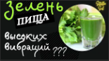 ЗЕЛЕНЬ- ЭТО ПИЩА?? Что содержит зелень.