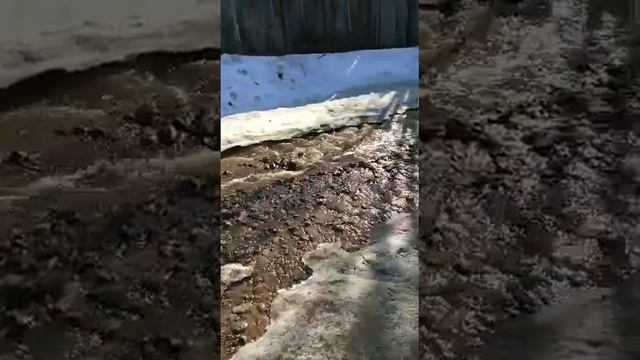 СНЕГ ТАЕТ НА ДАЧЕ, А ТЕКУТ РЕКИ / rivers of meltwater flow in the country