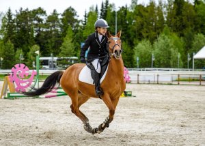 Всероссийские соревнования по конкуру и выездке на "Кубок Губернатора Югры" прошли в Ханты-Мансийске