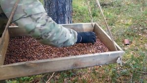 На УАЗ Фермер в тайгу за кедровым орехом