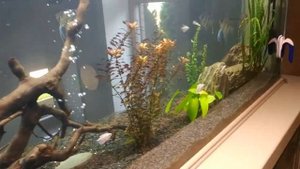 Аквариум, больше тонны воды.