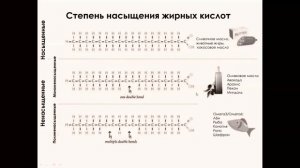 Семинар "Основы Правильного Питания"