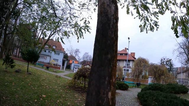 КОНТРАСТЫ АМАЛИЕНАУ — amalienau Кёнигсберг (Калининград)