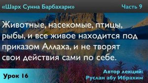 Животные, насекомые, птицы, рыбы, и все живое находится под приказом Аллаха, и не