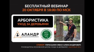 Арбористика. Уход за деревьями