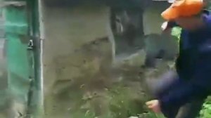 МУЖИК ЛОМАЕТ САРАЙ НОГОЙ ( полная версия мема) остров на котором есть дом